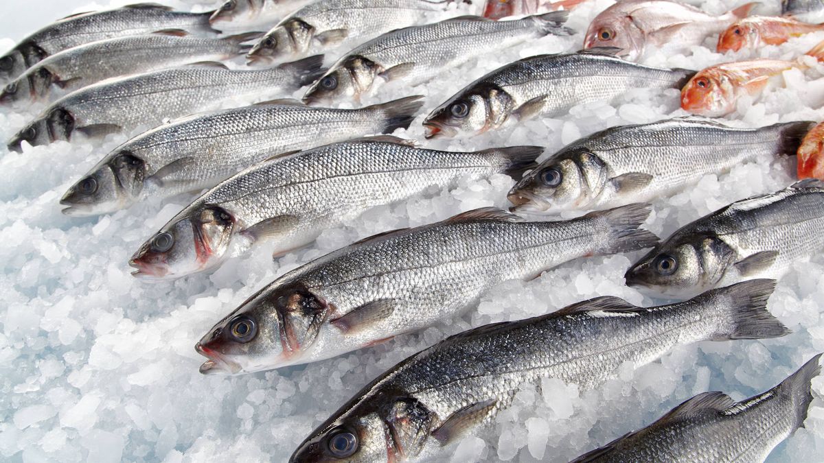 O peixe que é muito consumido em Portugal